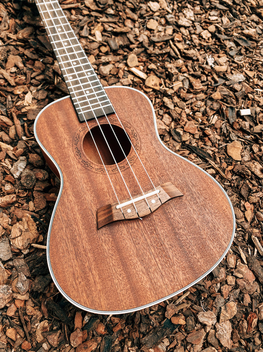 Laboratorio di costruzione di ukulele in Alto Adige