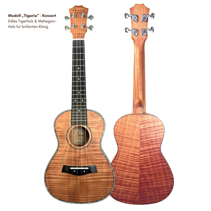 Detailansicht der ANIMA Modell Tigaria Ukulele von vorne und hinten zur Ansicht der Holzmaserung