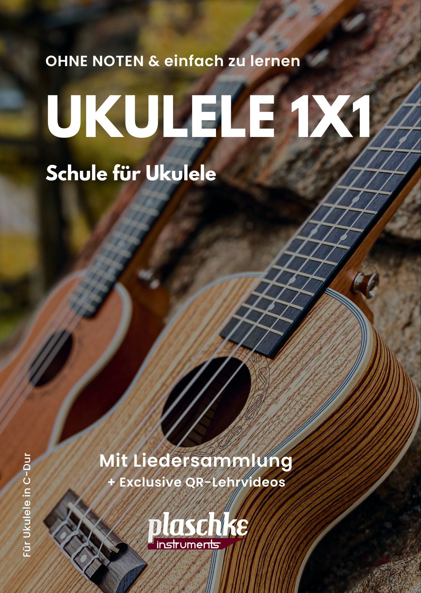 plaschke-ukulele-1x1-schule-fuer-anfaenger-ohne-noten-mit-lehrvideos